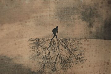 Artistic silhouette of a person walking on a path reflected as a bare tree.