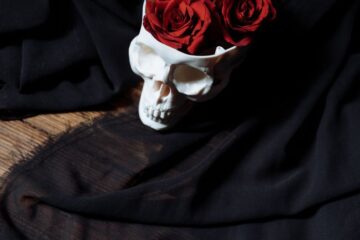 The Vanity of Existence Lies Within the Anatomy of Existing... A decorative skull filled with red roses resting on black fabric, evoking a spooky and artistic mood.